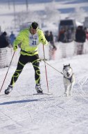 Lenk 2013